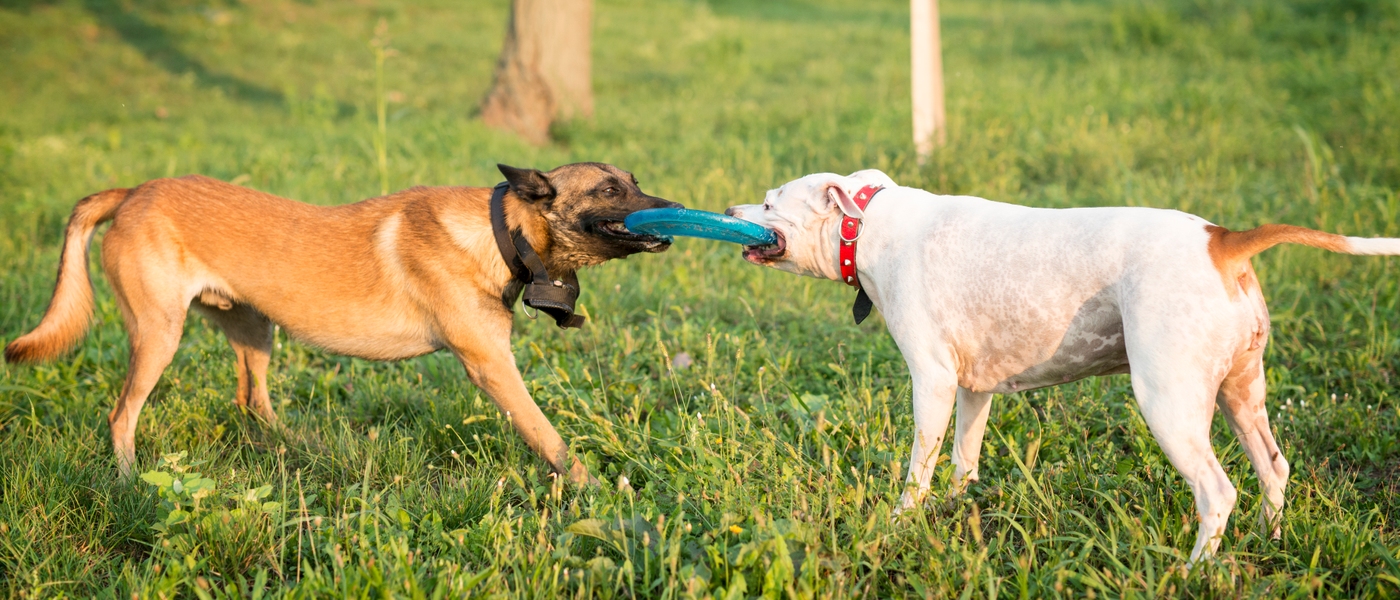 Call to Action Image